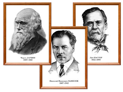 Портреты (биология)