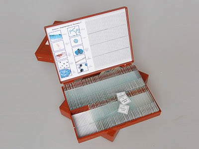 Микропрепараты