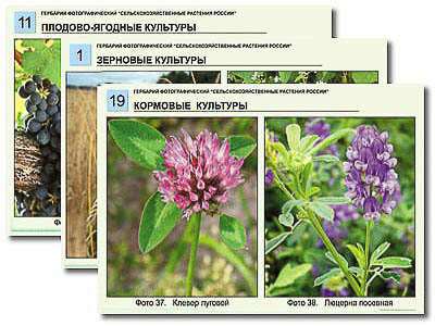 Демонстрационные пособия