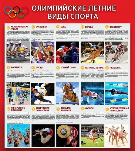 Стенд "Олимпийские летние виды спорта"